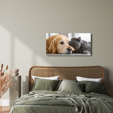 OBRAZ HARMONIE DOMÁCÍCH MAZLÍČKŮ - OBRAZY ZVÍŘAT - OBRAZY