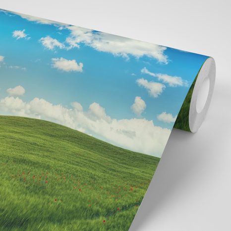 SAMOLEPÍCÍ FOTOTAPETA NÁDHERNÝ DEN NA LOUCE - SAMOLEPÍCÍ TAPETY - TAPETY