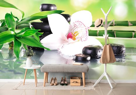 FOTOTAPETA JAPONSKÁ ORCHIDEJ - TAPETY FENG SHUI - TAPETY