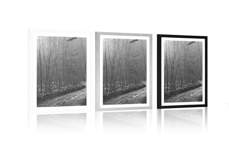 AFFICHE – CHEMIN VERS LA FORÊT EN NOIR ET BLANC - NOIR ET BLANC - AFFICHES