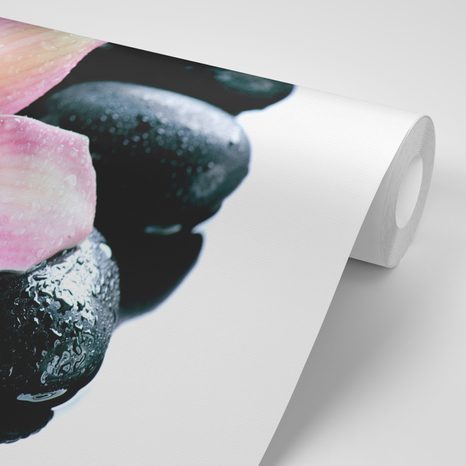 SAMOLEPÍCÍ FOTOTAPETA EXOTICKÁ ORCHIDEJ - SAMOLEPÍCÍ TAPETY - TAPETY