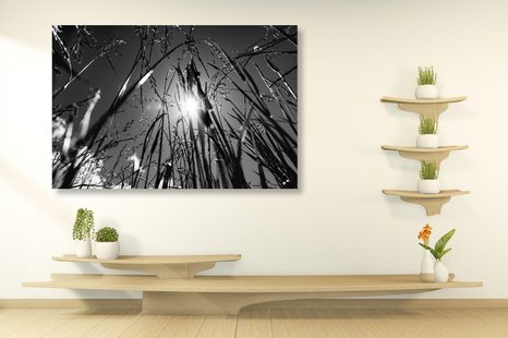 OBRAZ TRAWA POLNA W WERSJI CZARNO-BIAŁEJ - OBRAZY CZARNO-BIAŁE - OBRAZY