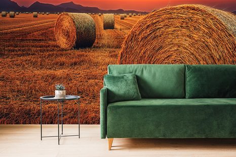 SAMOLEPÍCÍ FOTOTAPETA BALÍKY SENA - SAMOLEPÍCÍ TAPETY - TAPETY