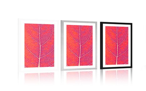 POSTER MIT PASSEPARTOUT BLATTSTRUKTUR - MOTIVE AUS UNSERER WERKSTATT - POSTER