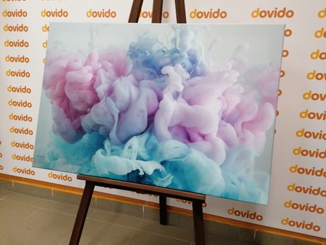 ΑΦΑΊΡΕΣΗ ΧΡΏΜΑΤΟΣ ΕΙΚΌΝΑΣ - ΑΦΗΡΗΜΈΝΟΙ ΠΊΝΑΚΕΣ ΖΩΓΡΑΦΙΚΉΣ - ΠΊΝΑΚΕΣ