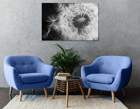 WANDBILD LÖWENZAHNSAMEN IN SCHWARZ-WEISS - SCHWARZ-WEISSE BILDER - BILDER