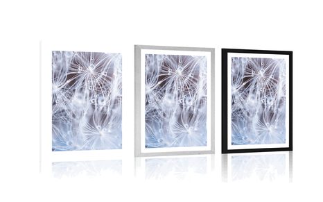 POSTER – MACRO DENTE DI LEONE - FIORI - POSTER