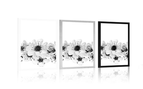 POSTER CHERRY BLOSSOMS IN BLACK AND WHITE - BLACK AND WHITE - POSTERS