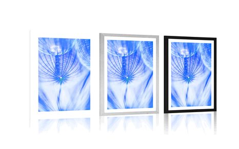 POSTER WITH MOUNT DANDELION IN BLUE DESIGN - FLOWERS - POSTERS