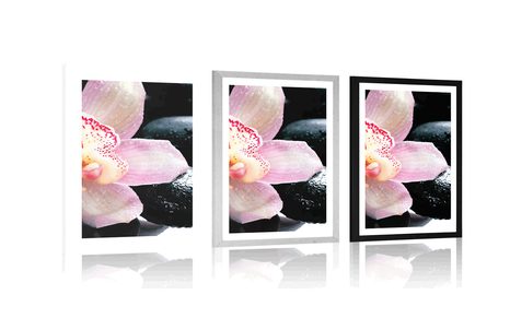 PLAGÁT S PASPARTOU EXOTICKÁ ORCHIDEA - FENG SHUI - PLAGÁTY