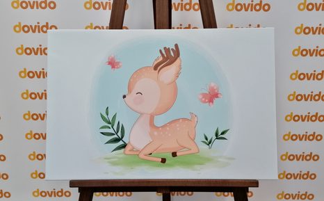 ΕΙΚΌΝΑ ΧΑΡΙΤΩΜΈΝΟ ΖΑΡΚΆΔΙ - ΠΊΝΑΚΕΣ ΠΑΙΔΙΚΈΣ - ΠΊΝΑΚΕΣ