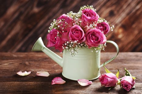 SLIKA ROŽE V KANGLICI - SLIKE TIHOŽITJE - SLIKE