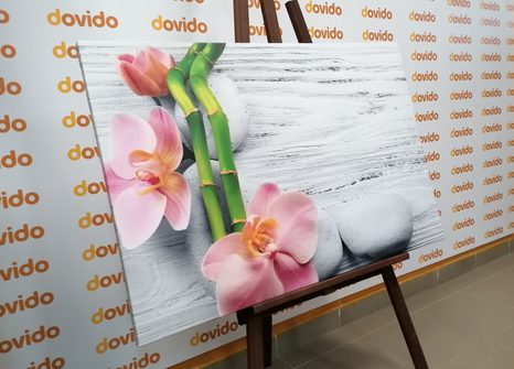 OBRAZ NEŽNÁ ZEN KOMPOZÍCIA - OBRAZY FENG SHUI - OBRAZY