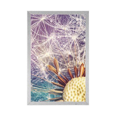 POSTER DETAILLIERTE PUSTEBLUME - BLUMEN - POSTER