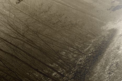 WANDBILD WEG IN DEN WALD IN SEPIA - BILDER VON NATUR UND LANDSCHAFT - BILDER