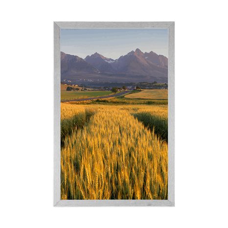 PLAKAT ZALAZAK SUNCA NAD PŠENIČNIM POLJEM - PRIRODA - PLAKATI