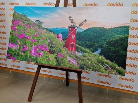 ΕΙΚΌΝΑ ΛΙΒΆΔΙ ΣΤΟ ΜΑΓΙΚΌ ΜΎΛΟ - ΠΊΝΑΚΕΣ ΦΎΣΗΣ ΚΑΙ ΤΟΠΊΟΥ - ΠΊΝΑΚΕΣ