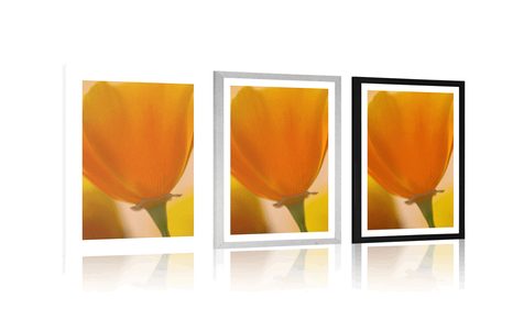 POSTER WITH MOUNT BOUQUET OF FLOWERS IN A CLOSE-UP - FLOWERS - POSTERS