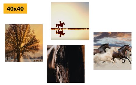 BILDER-SET FÜR PFERDELIEBHABER - BILDERSETS - BILDER