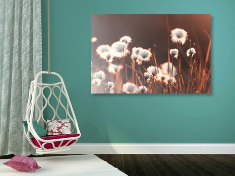 CANVAS SCHILDERIJ KATOENGRAS - SCHILDERIJEN - MEGA UITVERKOOP TOT 70% 🔥