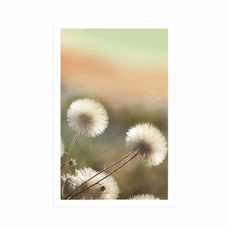 PLAKÁT PANORAMA KVETOUCÍ LOUKY - KVĚTINY - PLAKÁTY