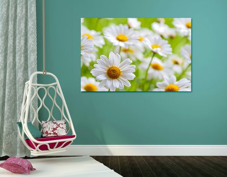 OBRAZ JARNÍ LOUKA PLNÁ KVĚTIN - OBRAZY KVĚTŮ - OBRAZY