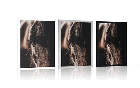 POSTER MAJESTÄTISCHES PFERD - TIERE - POSTER