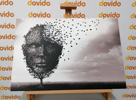 ΕΙΚΌΝΑ ΑΦΗΡΗΜΈΝΟ ΠΡΌΣΩΠΟ ΜΕ ΤΗ ΜΟΡΦΉ ΕΝΌΣ ΔΈΝΤΡΟΥ - ΠΊΝΑΚΕΣ ΑΣΠΡΌΜΑΥΡΕΣ - ΠΊΝΑΚΕΣ