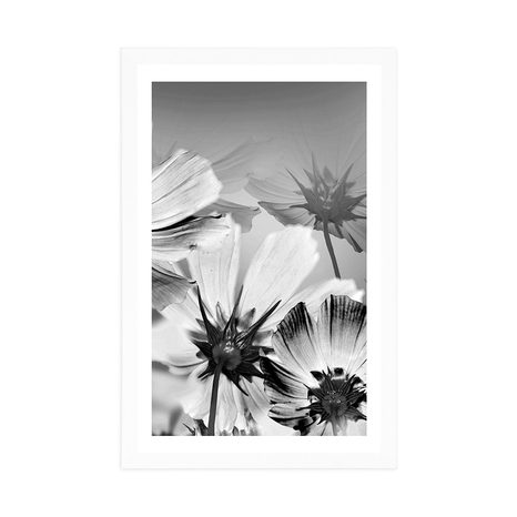 AFFICHE AVEC PASSE-PARTOUT – FLEURS DE JARDIN EN NOIR ET BLANC - NOIR ET BLANC - AFFICHES