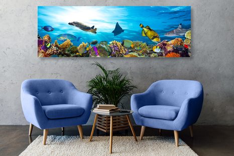 WANDBILD KORALLENRIFF MIT FISCHEN UND SCHILDKRÖTEN - WANDBILDER MEERESTIERE - BILDER
