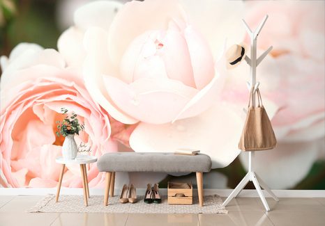 ΑΥΤΟΚΌΛΛΗΤΗ ΤΟΙΧΟΓΡΑΦΊΑ ΤΡΙΑΝΤΆΦΥΛΛΑ - ΑΥΤΟΚΌΛΛΗΤΕΣ ΤΑΠΕΤΣΑΡΊΕΣ - ΤΑΠΕΤΣΑΡΊΕΣ