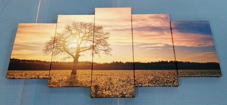 5 RÉSZES KÉP MAGÁNYOS FA - FÁKAT ÉS LEVELEKET ÁBRÁZOLÓ KÉPEK - KÉPEK
