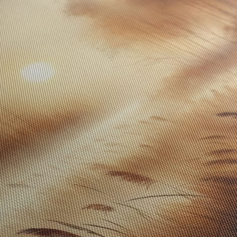 WANDBILD NEBEL ÜBER DEM SCHILF - BILDER VON SONNENAUFGANG UND SONNENUNTERGANG - BILDER