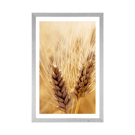 POSTER MIT PASSEPARTOUT WEIZENFELD - NATUR - POSTER