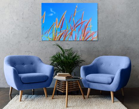 OBRAZ DZIKA TRAWA POD BŁĘKITNYM NIEBEM - OBRAZY PRZYRODY I KRAJOBRAZY - OBRAZY