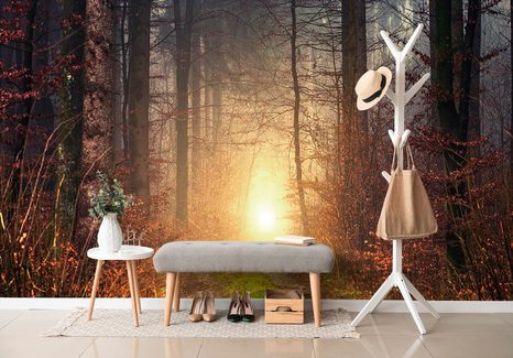 WALL MURAL LIGHT IN THE FOREST - WALLPAPERS NATURE - WALLPAPERS