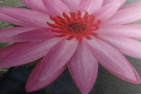 SLIKA OČARLJIVI LOTOSOV CVET - SLIKE ROŽ - SLIKE