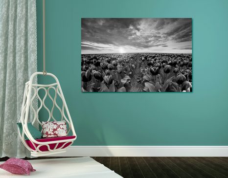 WANDBILD SONNENAUFGANG ÜBER DER WIESE MIT TULPEN IN SCHWARZ-WEISS - SCHWARZ-WEISSE BILDER - BILDER