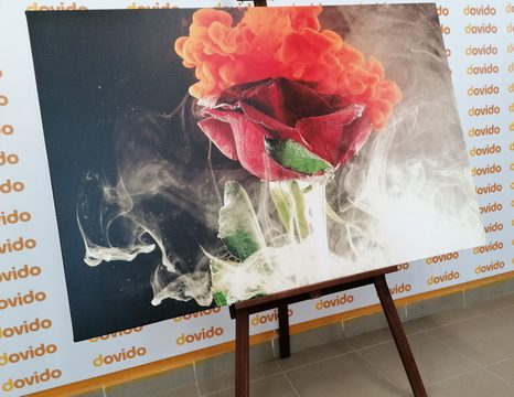 OBRAZ RŮŽE S ABSTRAKTNÍMI PRVKY - OBRAZY KVĚTŮ - OBRAZY