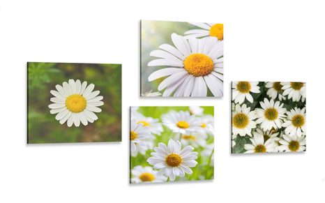 CANVAS PRINT SET MAGICAL FLOWERS - SET OF PICTURES - PICTURES