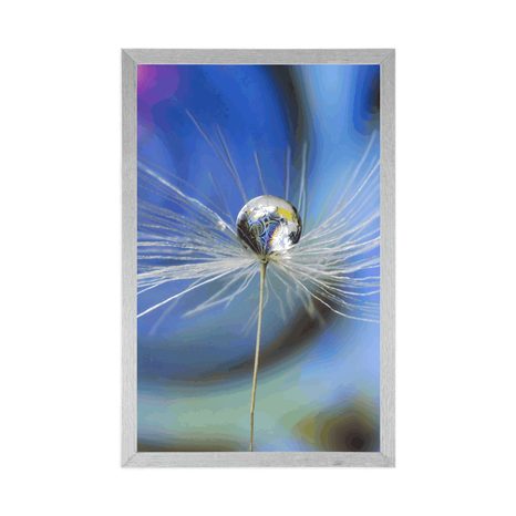 PLAGÁT KVAPKA ROSY NA FAREBNOM POZADÍ - KVETY - PLAGÁTY