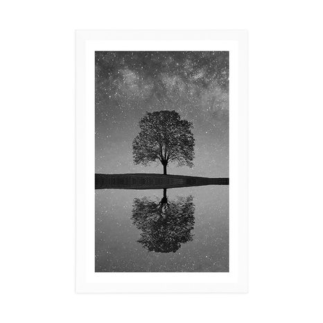 POSTER – CIELO STELLATO SOPRA UN ALBERO SOLITARIO IN BIANCO E NERO - NERO E BIANCO - POSTER