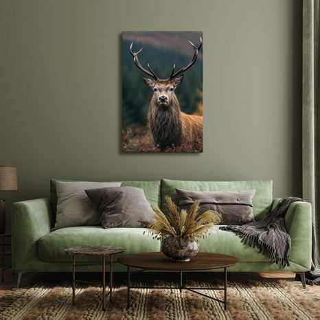 OBRAZ JELEN V PODZIMNÍ PŘÍRODĚ - OBRAZY JELENI - OBRAZY