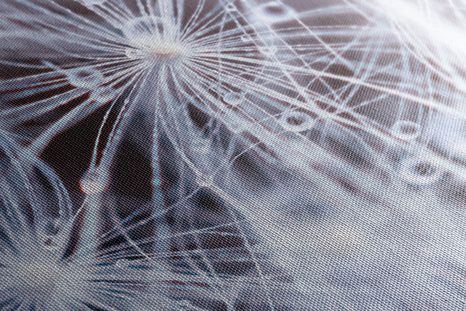 WANDBILD MAKRO DES LÖWENZAHNS - BILDER BLUMEN - BILDER