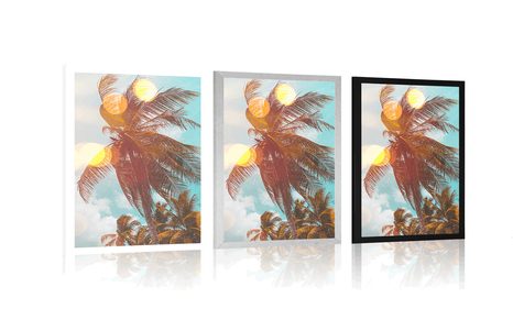 PLAKÁT PAPRSKY SLUNCE MEZI PALMAMI - PŘÍRODA - PLAKÁTY