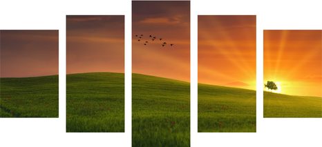 5-DIELNY OBRAZ STROM NA LÚKE - OBRAZY PRÍRODY A KRAJINY - OBRAZY