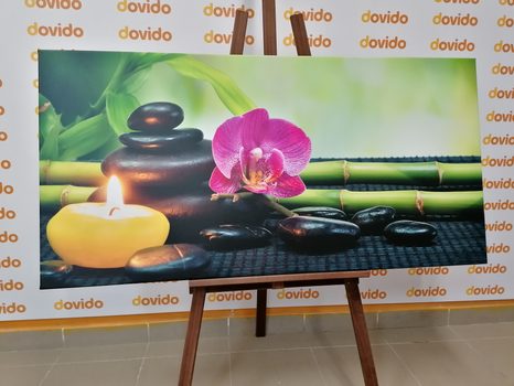 STAMPA SU TELA – NATURA MORTA FENG SHUI - QUADRI FENG SHUI - STAMPE E QUADRI