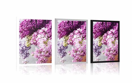 PLAKAT ŠPANSKI BEZEG V ROŽNATIH ODTENKIH - ROŽE - PLAKATI