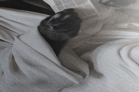 OBRAZ GORILA S NOVINAMI NA ZÁCHODE - OBRAZY OPICE - OBRAZY