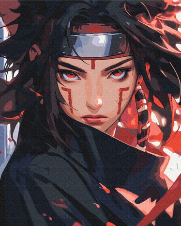 РИСУВАНЕ ПО НОМЕРА – НИНДЖА - ХОРА - РИСУВАНЕ ПО НОМЕРА